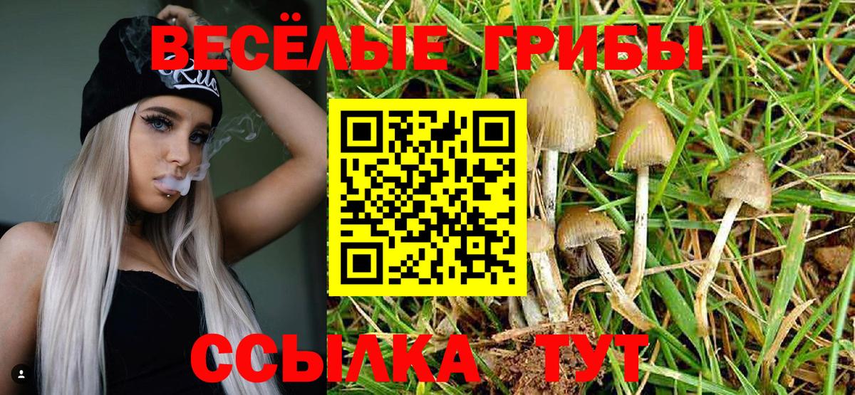 Галлюциногенные грибы ЛСД  Псилоцибиновые грибы мицелий  купить наркоту  Славянск-на-Кубани  Вход с VPN 